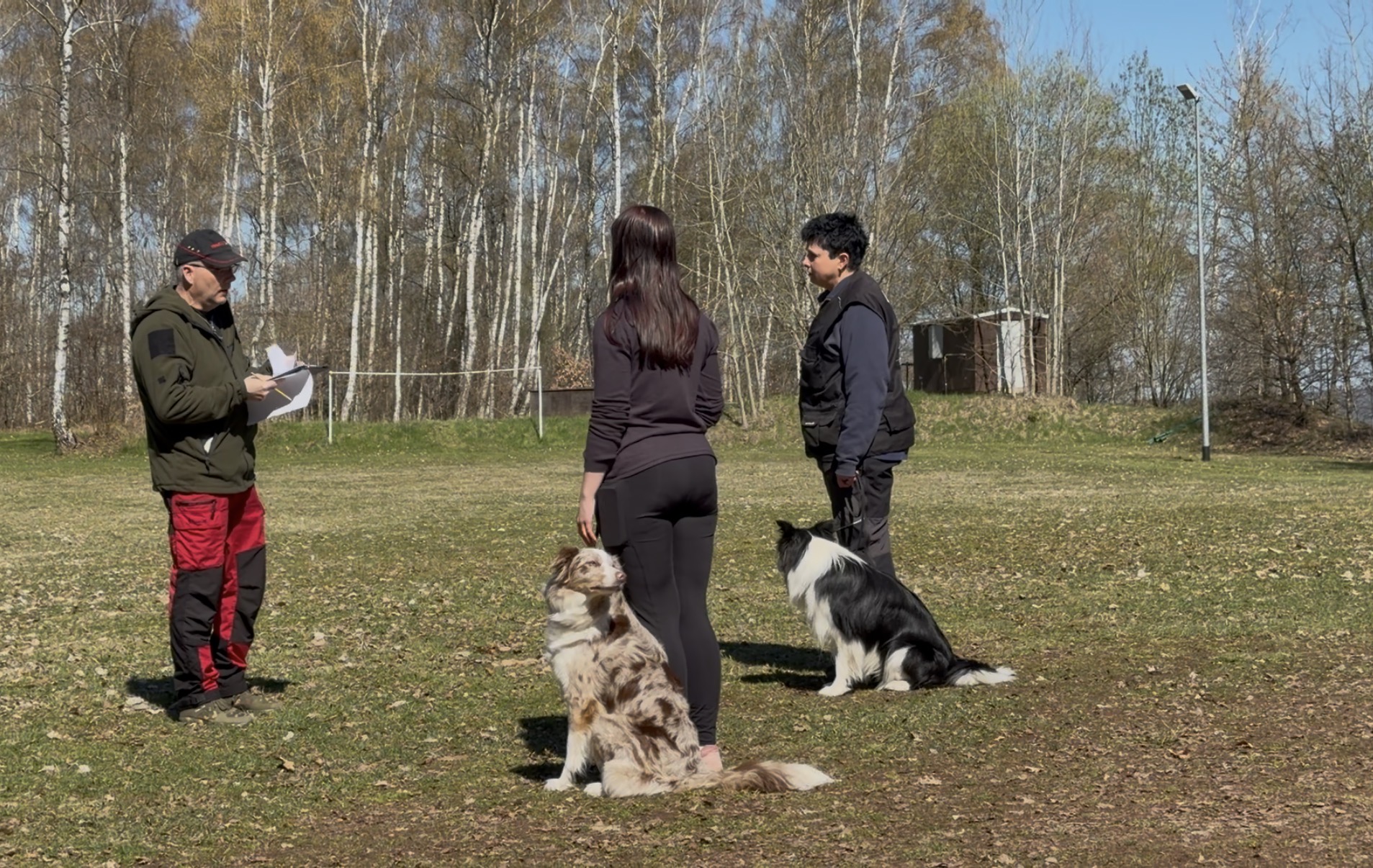 Zwei Mensch-Hund-Teams während einer Prüfung auf dem Hundeplatz